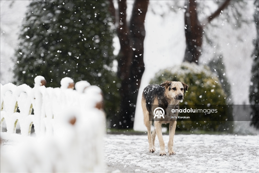 İstanbul'un bazı bölgelerinde kar yağışı etkili oluyor