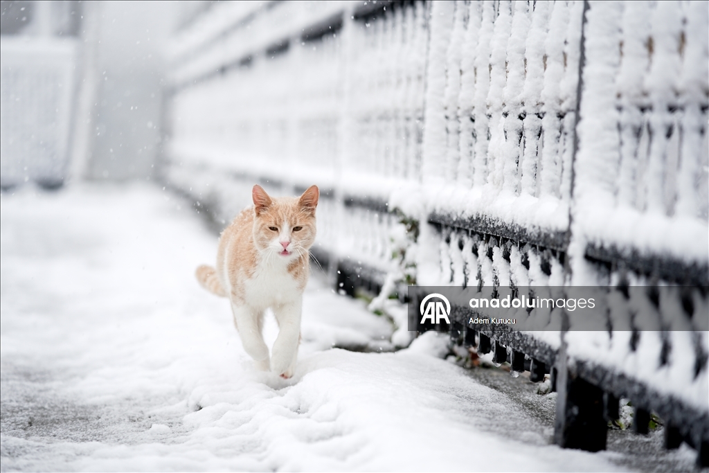 İstanbul'un bazı bölgelerinde kar yağışı etkili oluyor