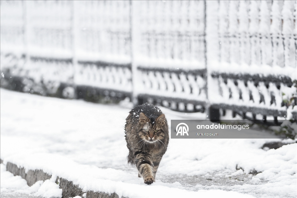 İstanbul'un bazı bölgelerinde kar yağışı etkili oluyor