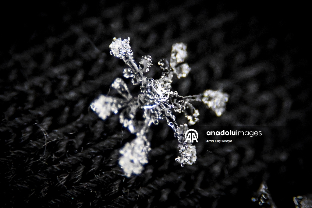 Kar tanelerinin kristal yapıları