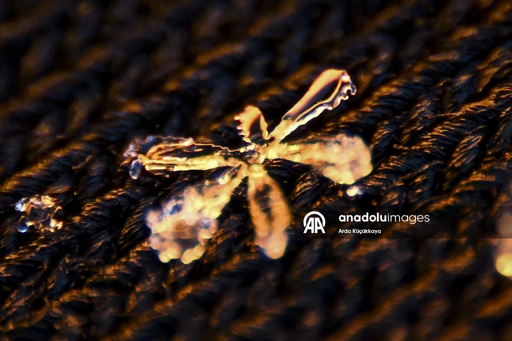 В Анкаре запечатлелены снежинки во время снегопада