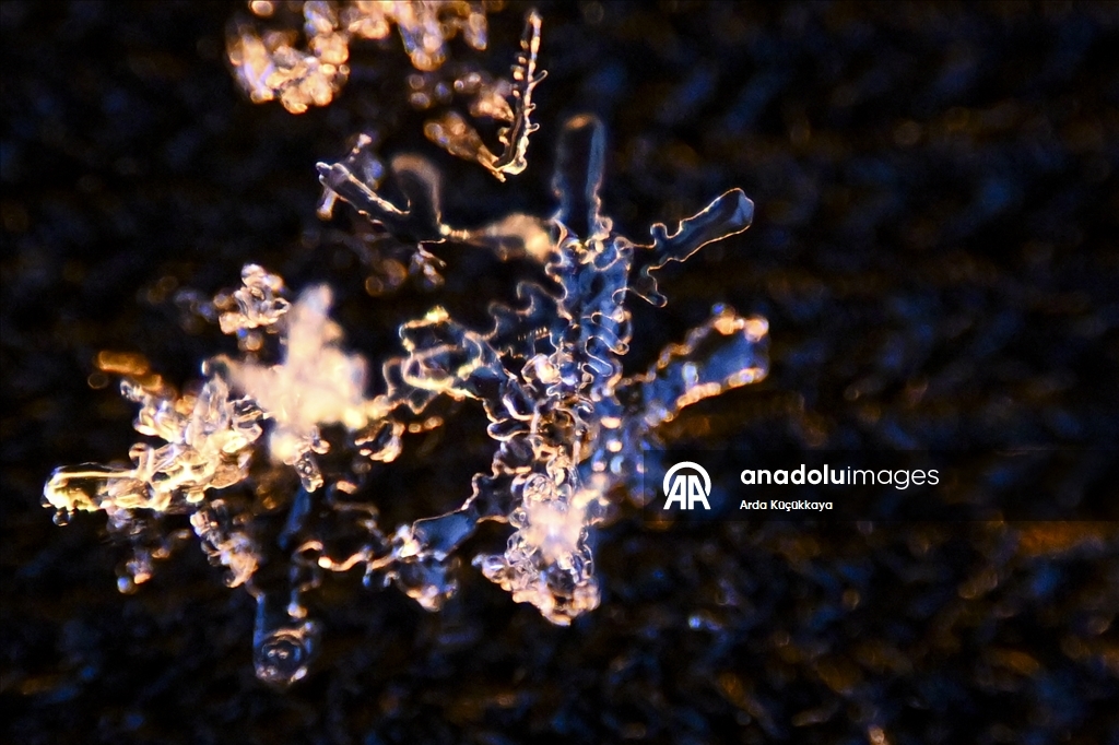 В Анкаре запечатлелены снежинки во время снегопада