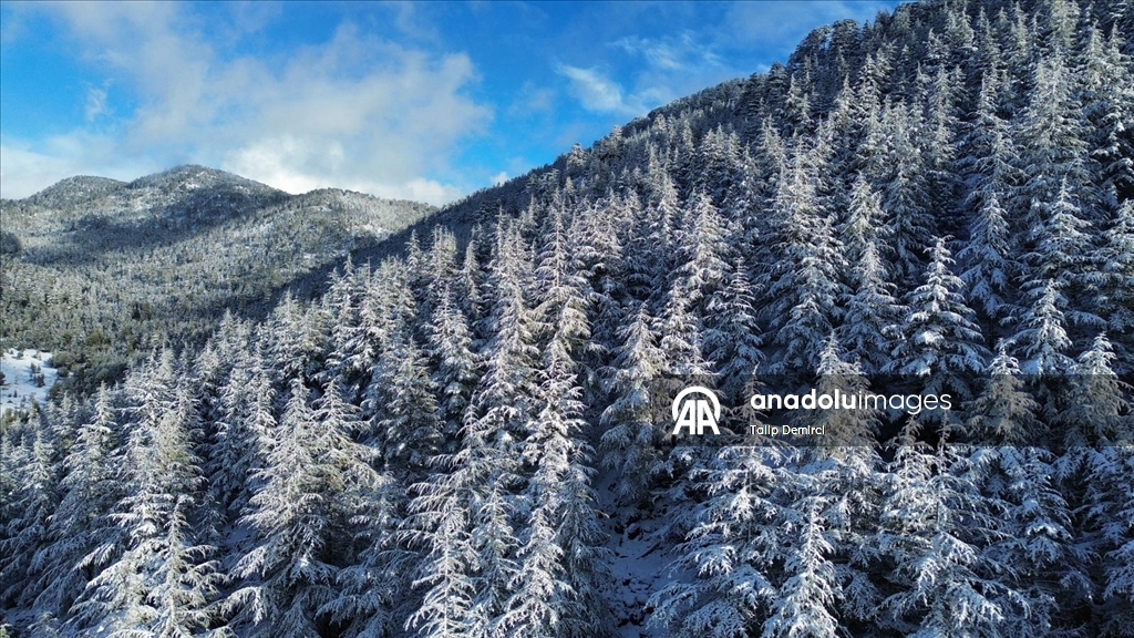 Kaş'ta karla kaplanan orman güzel görüntü oluşturdu