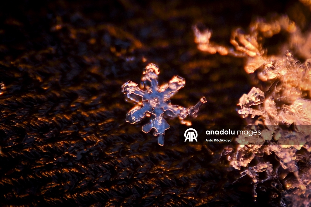 В Анкаре запечатлелены снежинки во время снегопада