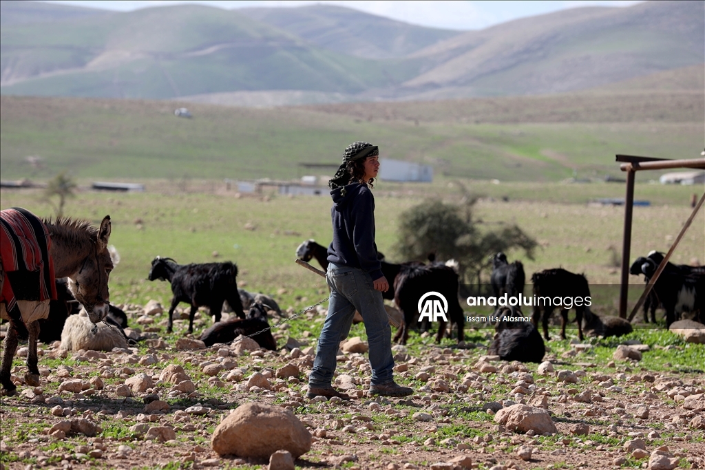 اعتداءات المستوطنين تهجر فلسطينيي "شلال العوجا" شرقي الضفة 