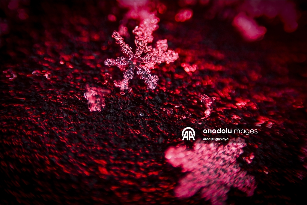 В Анкаре запечатлелены снежинки во время снегопада