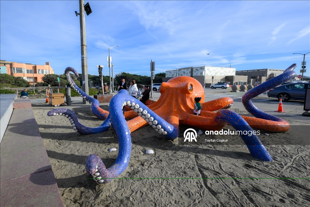 Парк Грейт-Хайвей – излюбленное место жителей Сан-Франциско