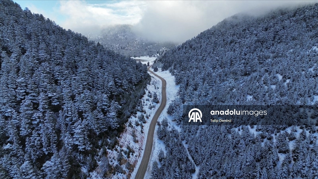 Kaş'ta karla kaplanan orman güzel görüntü oluşturdu