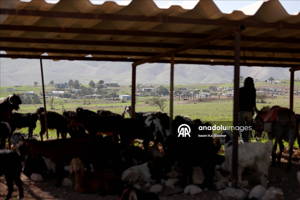 اعتداءات المستوطنين تهجر فلسطينيي "شلال العوجا" شرقي الضفة 