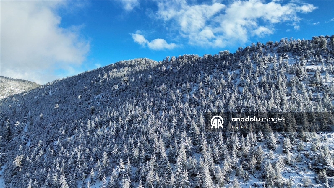 Kaş'ta karla kaplanan orman güzel görüntü oluşturdu