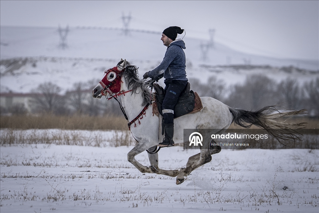 В турецком Эрзуруме популярны конные сафари