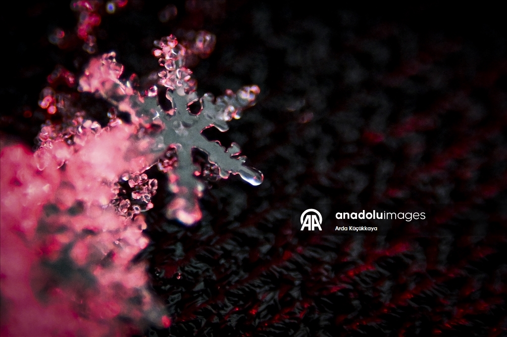 В Анкаре запечатлелены снежинки во время снегопада