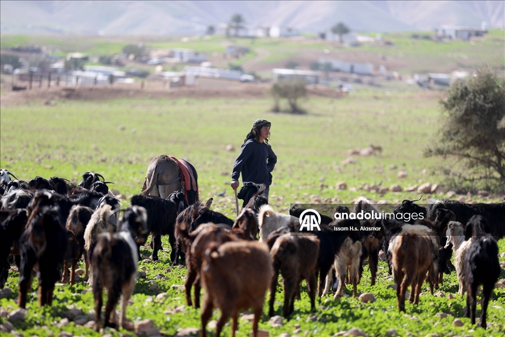 اعتداءات المستوطنين تهجر فلسطينيي "شلال العوجا" شرقي الضفة 