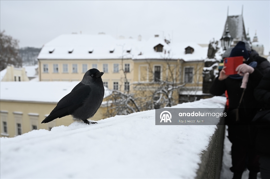 На Прагу обрушился снегопад