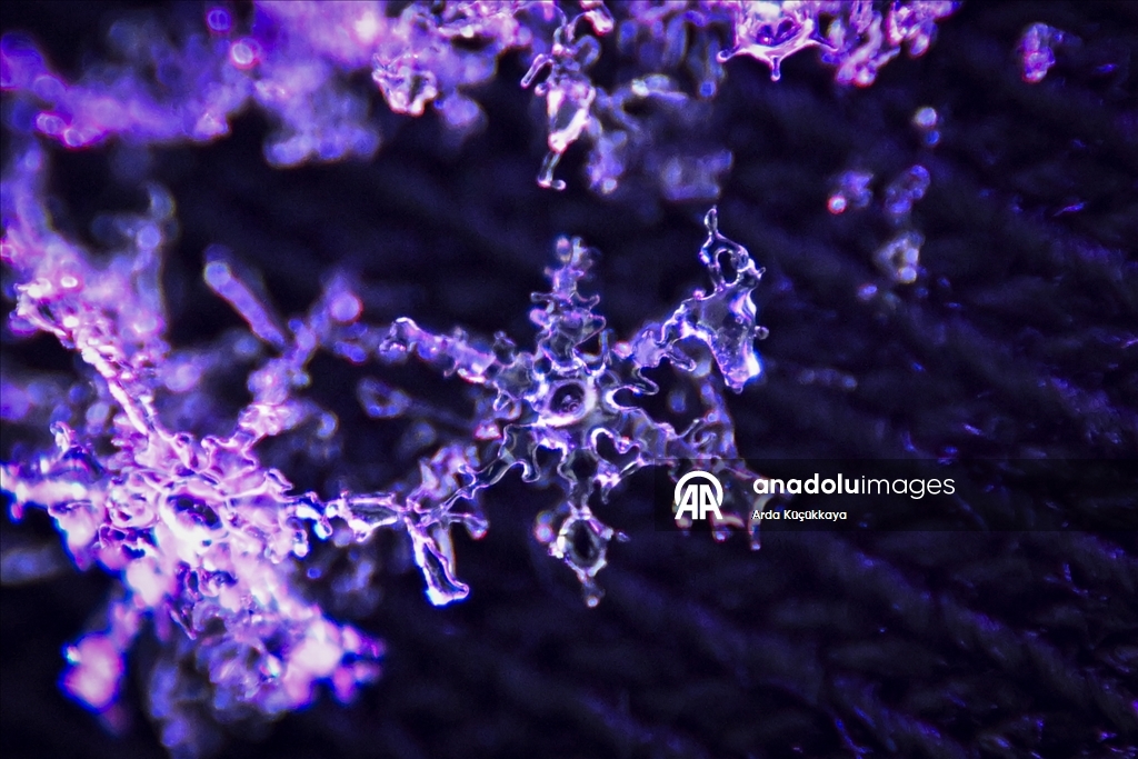 В Анкаре запечатлелены снежинки во время снегопада