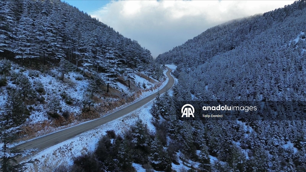 Kaş'ta karla kaplanan orman güzel görüntü oluşturdu