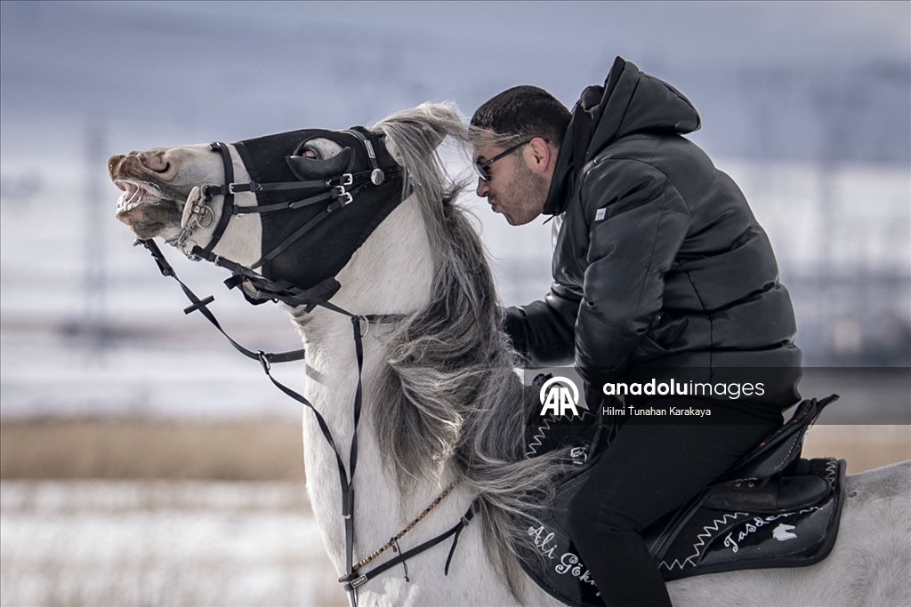 В турецком Эрзуруме популярны конные сафари