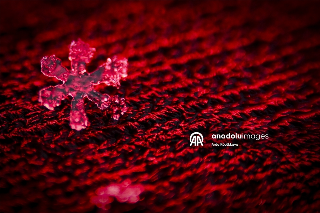 В Анкаре запечатлелены снежинки во время снегопада