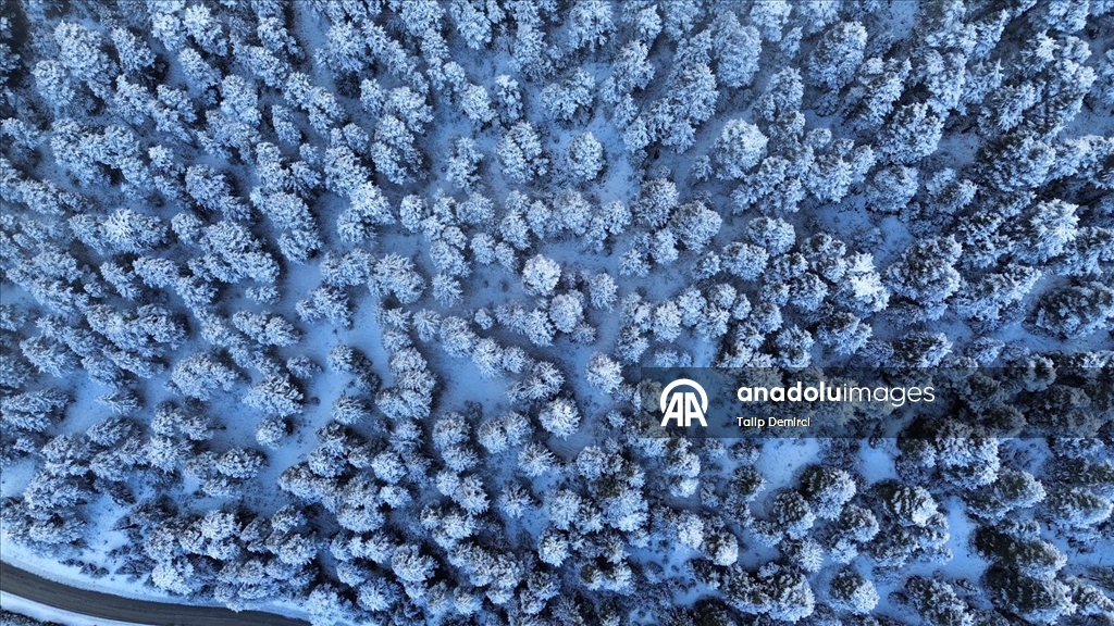 Kaş'ta karla kaplanan orman güzel görüntü oluşturdu