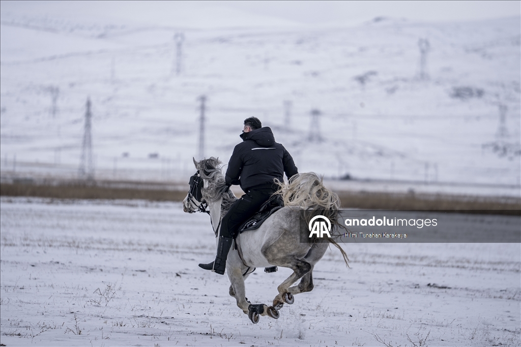 В турецком Эрзуруме популярны конные сафари