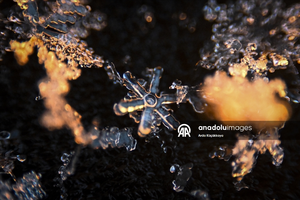 В Анкаре запечатлелены снежинки во время снегопада