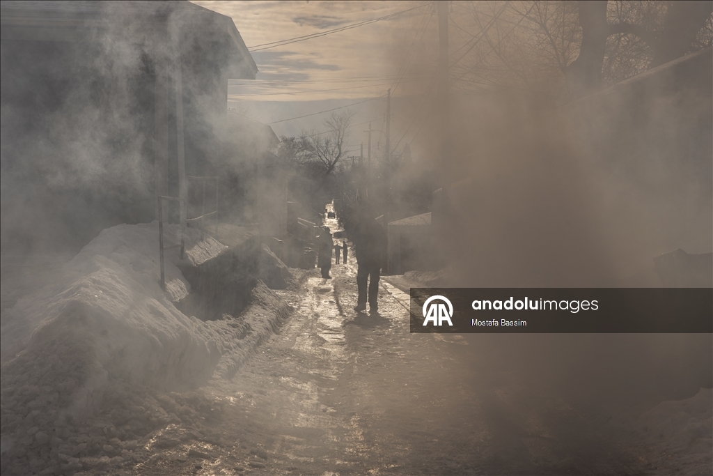 Иммиграционные операции в американском городе Миннеаполис