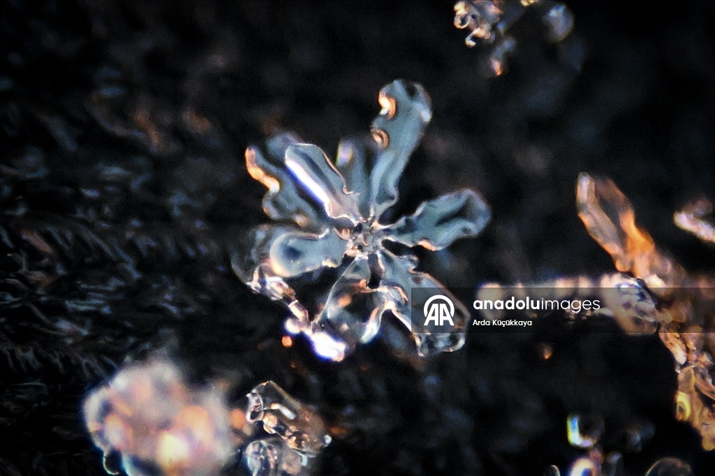 В Анкаре запечатлелены снежинки во время снегопада