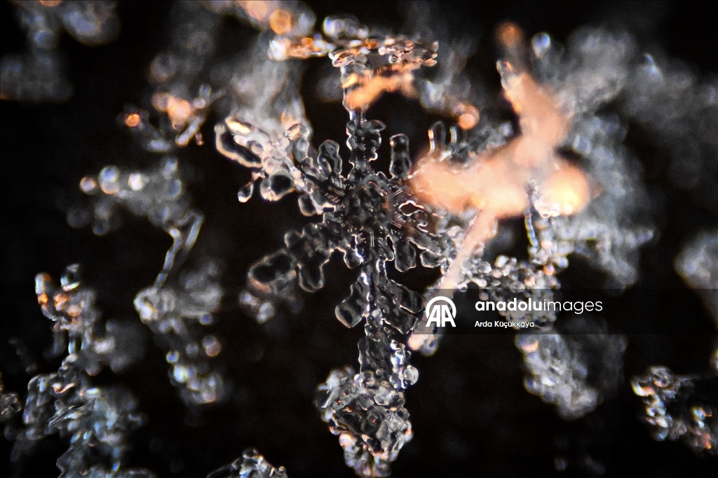 В Анкаре запечатлелены снежинки во время снегопада