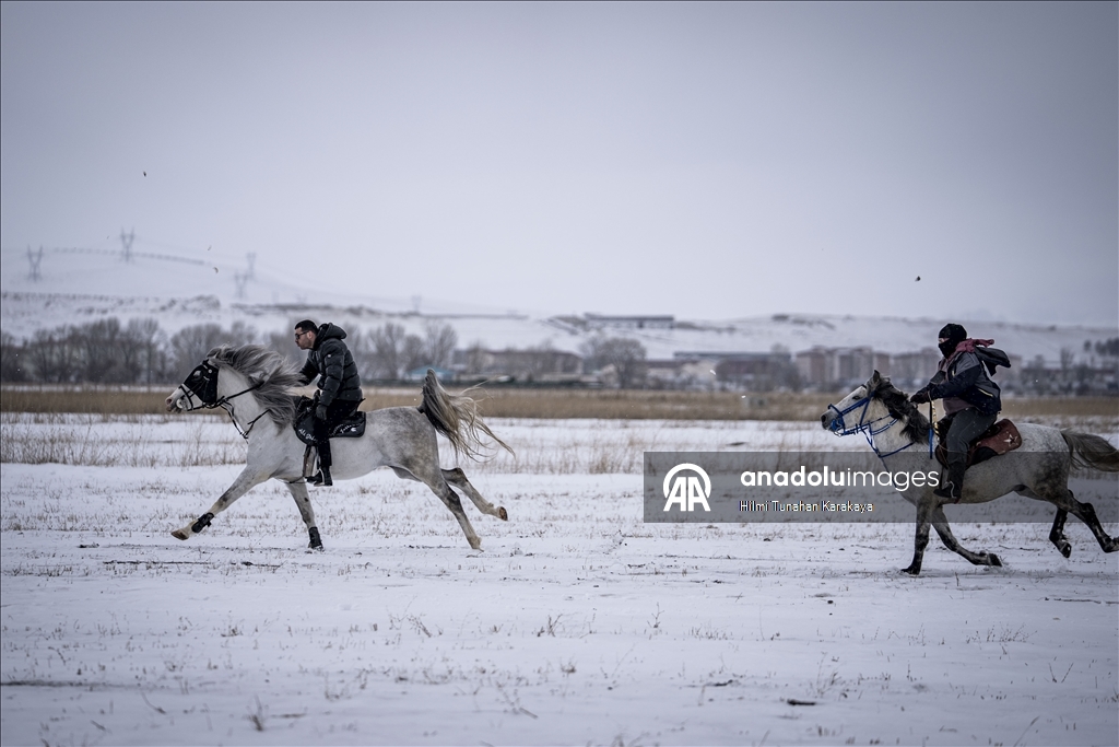 В турецком Эрзуруме популярны конные сафари