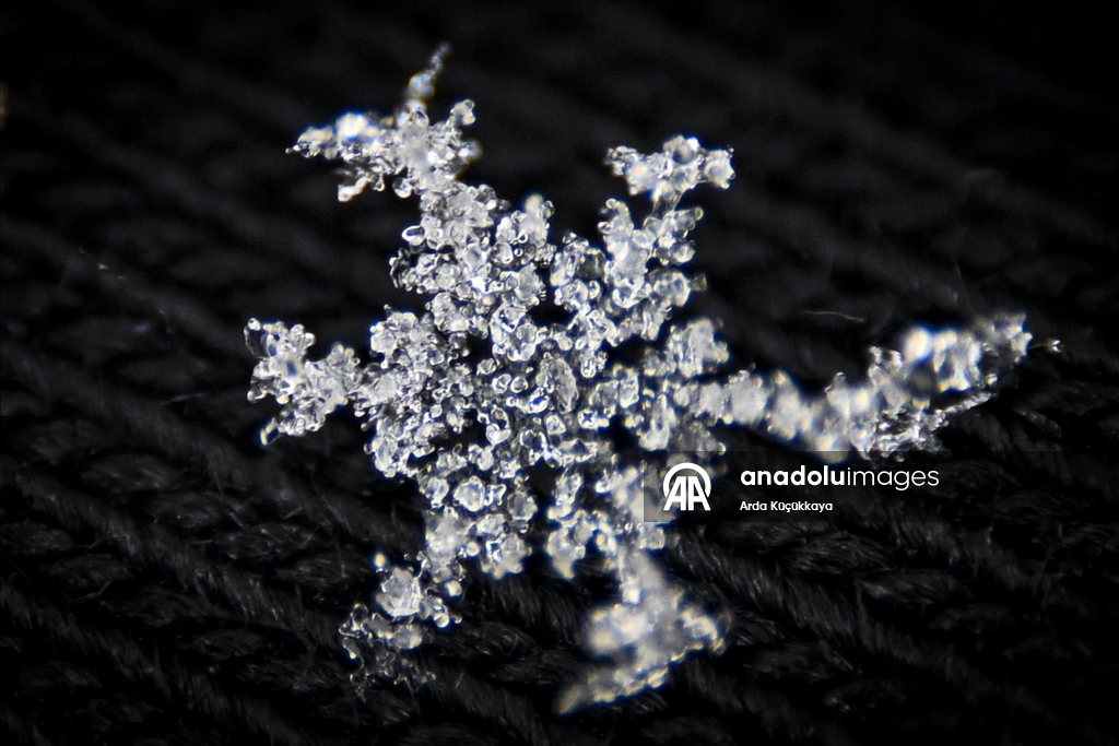 В Анкаре запечатлелены снежинки во время снегопада