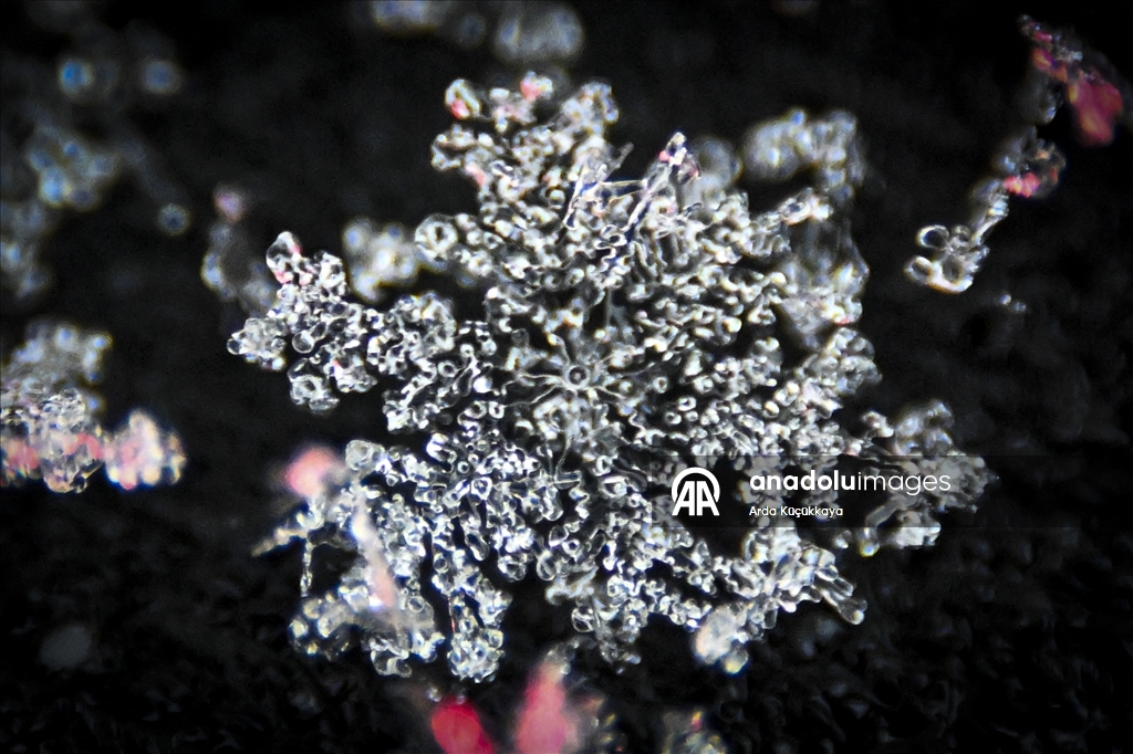 В Анкаре запечатлелены снежинки во время снегопада