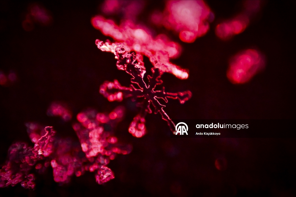 В Анкаре запечатлелены снежинки во время снегопада