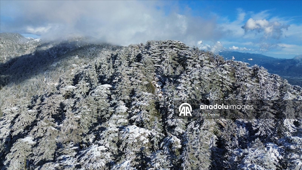 Kaş'ta karla kaplanan orman güzel görüntü oluşturdu