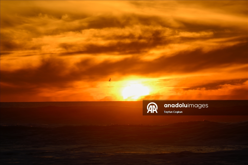 Парк Грейт-Хайвей – излюбленное место жителей Сан-Франциско