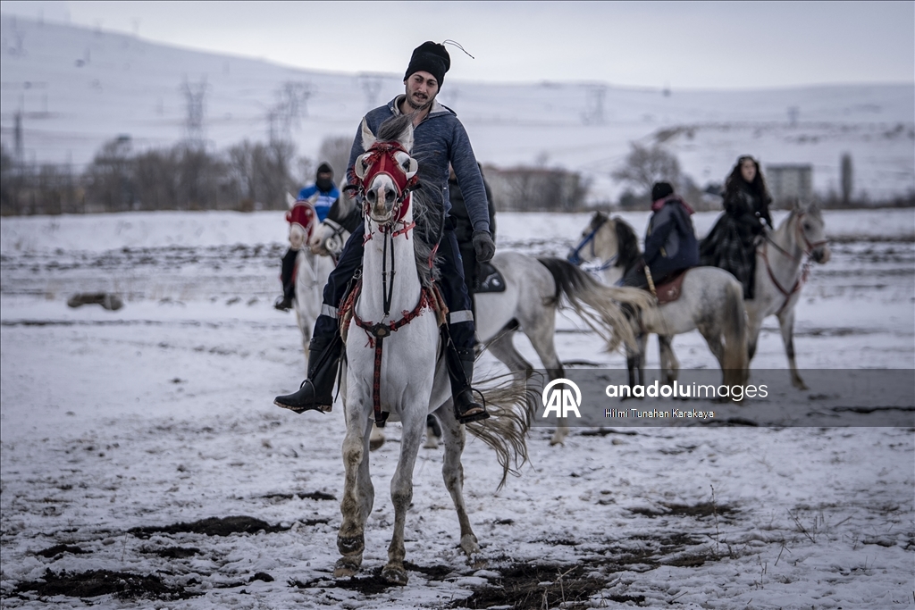 В турецком Эрзуруме популярны конные сафари
