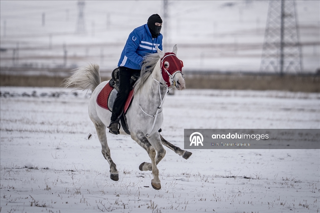 В турецком Эрзуруме популярны конные сафари