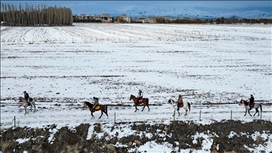 Erzurum'da kar ve buzda atlı safari keyfi