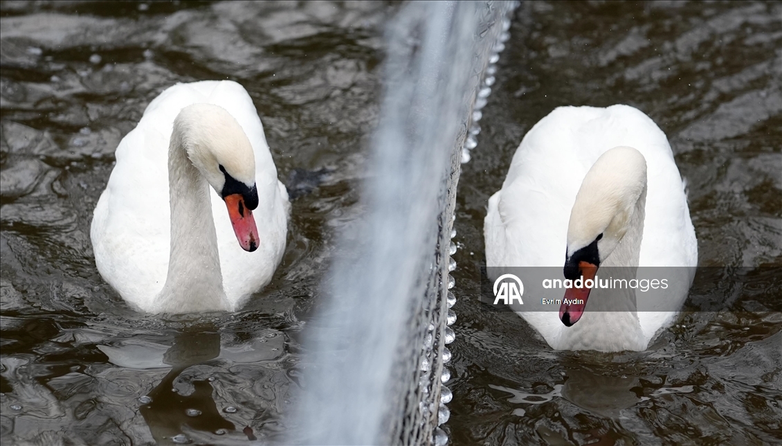 Ankara'da soğuk hava