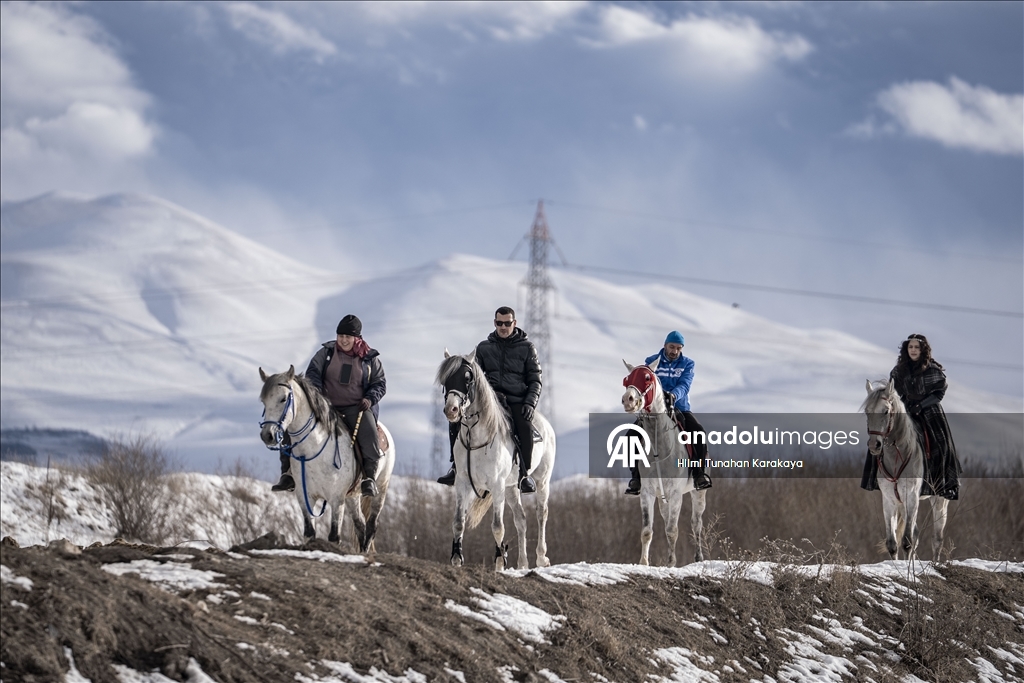 В турецком Эрзуруме популярны конные сафари