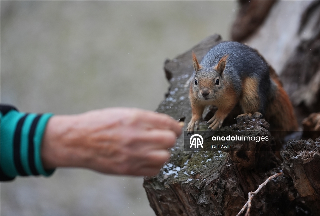 Ankara'da soğuk hava