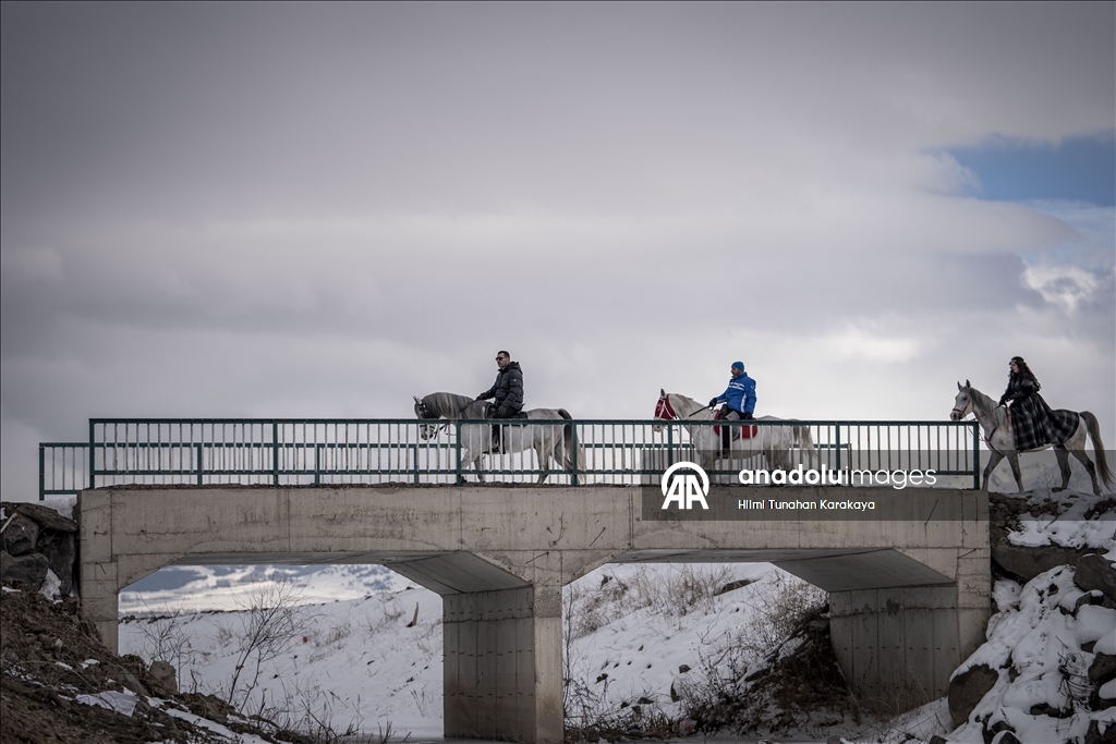 В турецком Эрзуруме популярны конные сафари