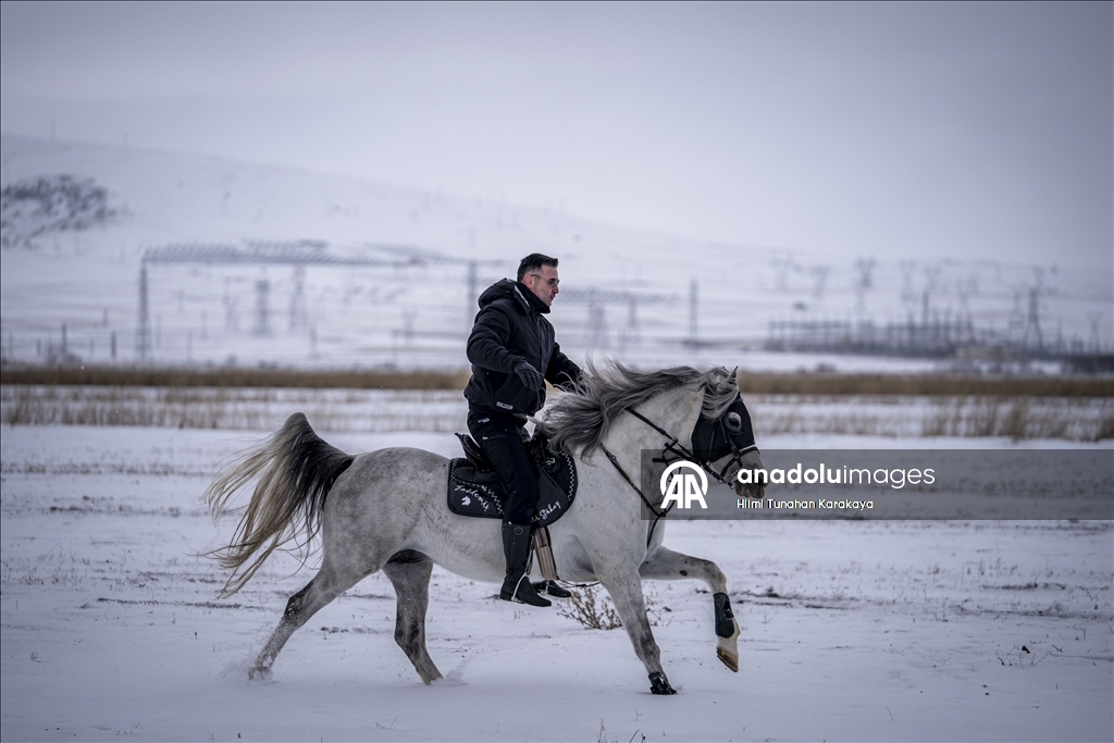 В турецком Эрзуруме популярны конные сафари