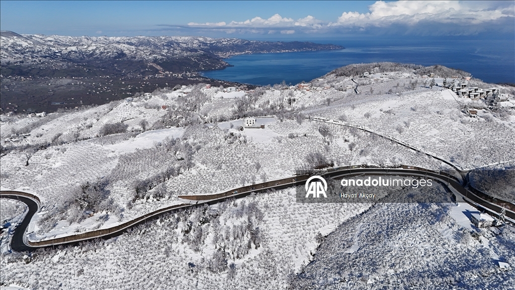 Ordu'da kar ve soğuk hava