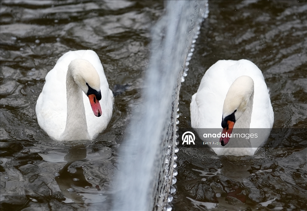Ankara'da soğuk hava