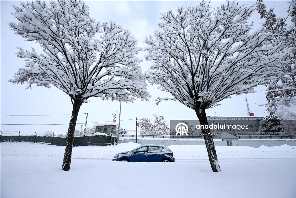 Muş'ta kar yağışı etkili oldu