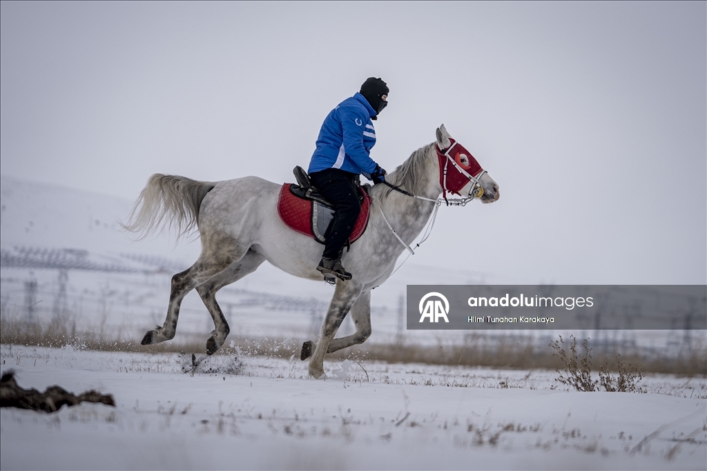 В турецком Эрзуруме популярны конные сафари