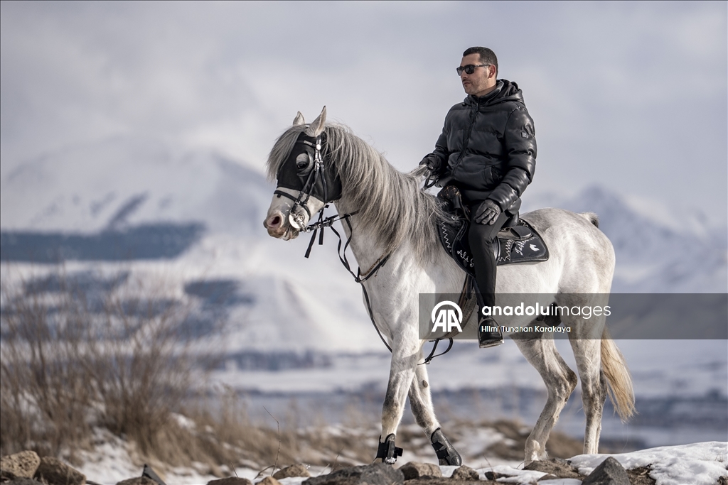 В турецком Эрзуруме популярны конные сафари