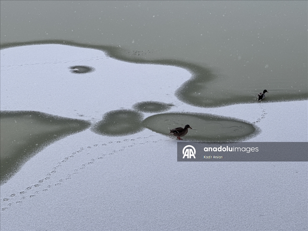 Ankara'da kar yağışı