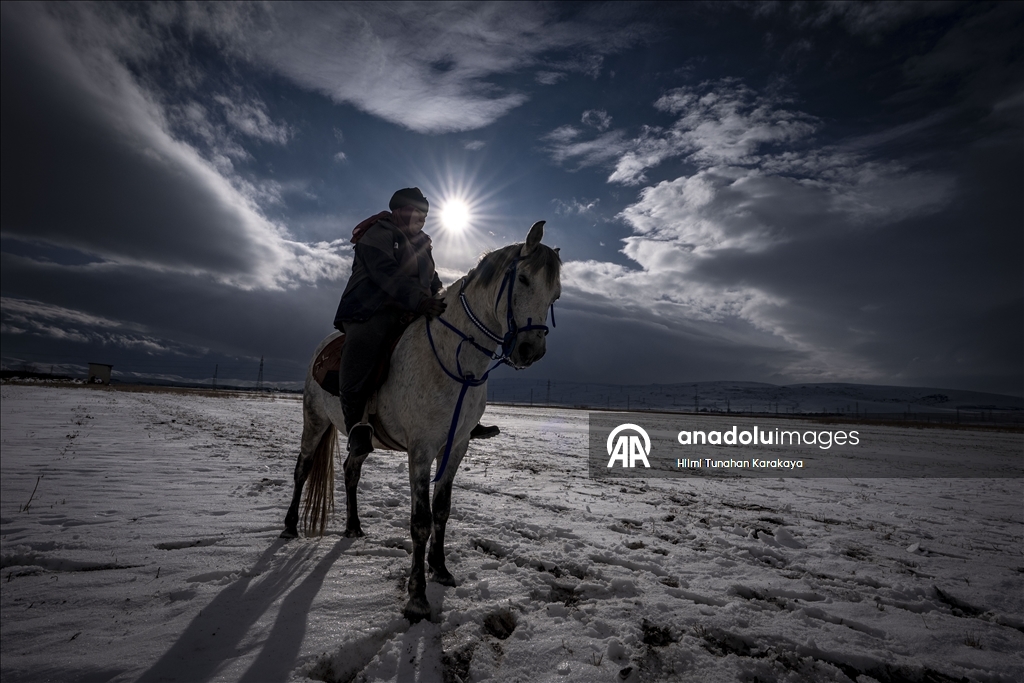 В турецком Эрзуруме популярны конные сафари