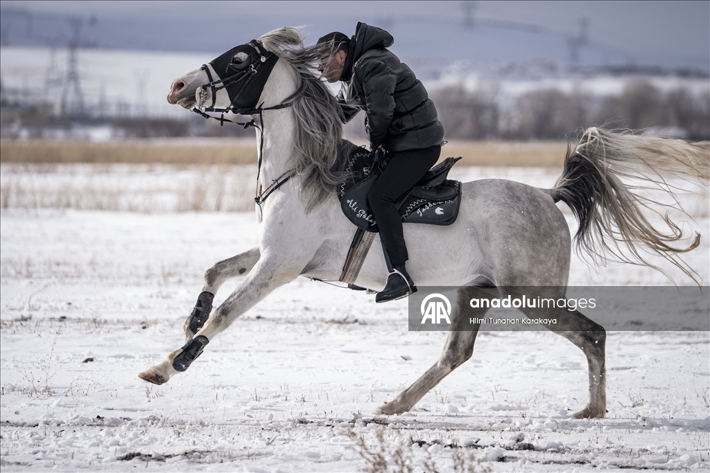 В турецком Эрзуруме популярны конные сафари